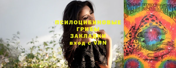 дурь Ухта