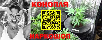 сатива Донской