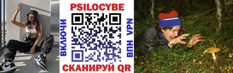 kraken рабочий сайт  Печора  Псилоцибиновые грибы Psilocybine cubensis 