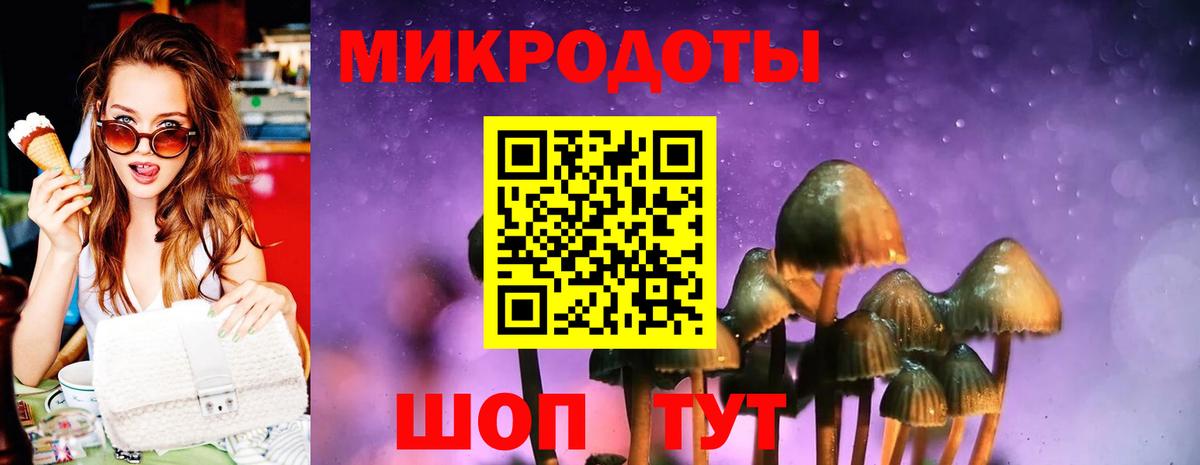 Галлюциногенные грибы MAGIC MUSHROOMS  Псилоцибиновые грибы Psilocybine cubensis  Печора  Вход с VPN 